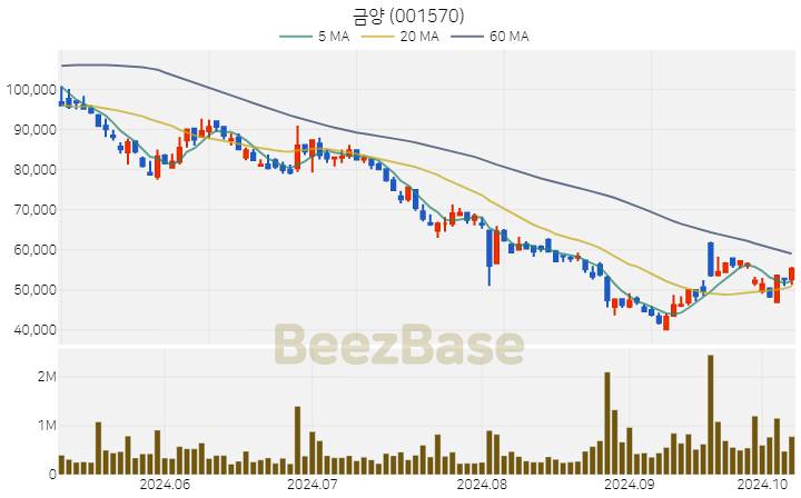 금양 주가 분석 및 주식 종목 차트 | 2024.10.10