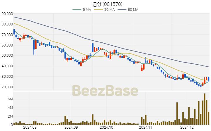 금양 주가 분석 및 주식 종목 차트 | 2024.12.17