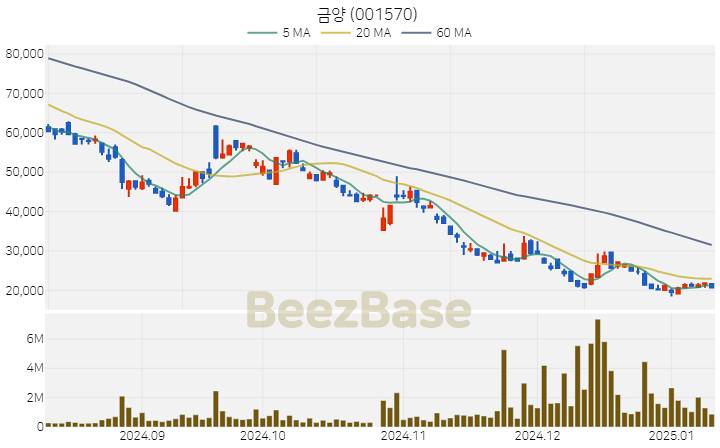 [주가 차트] 금양 - 001570 (2025.01.10)