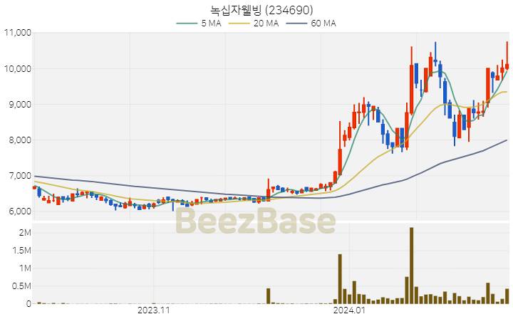 녹십자웰빙 주가 분석 및 주식 종목 차트 | 2024.02.20