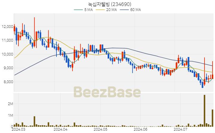 녹십자웰빙 주가 분석 및 주식 종목 차트 | 2024.07.24