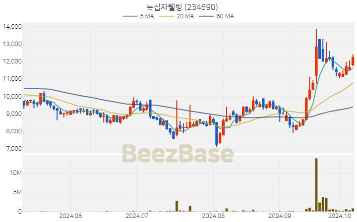 녹십자웰빙 주가 분석 및 주식 종목 차트 | 2024.10.10