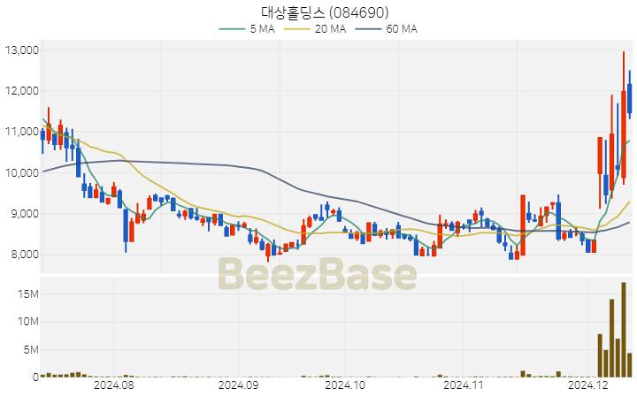 대상홀딩스 주가 분석 및 주식 종목 차트 | 2024.12.11