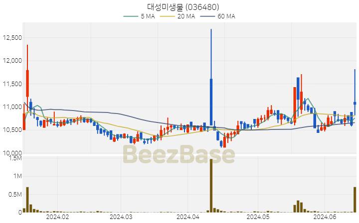 대성미생물 주가 분석 및 주식 종목 차트 | 2024.06.17