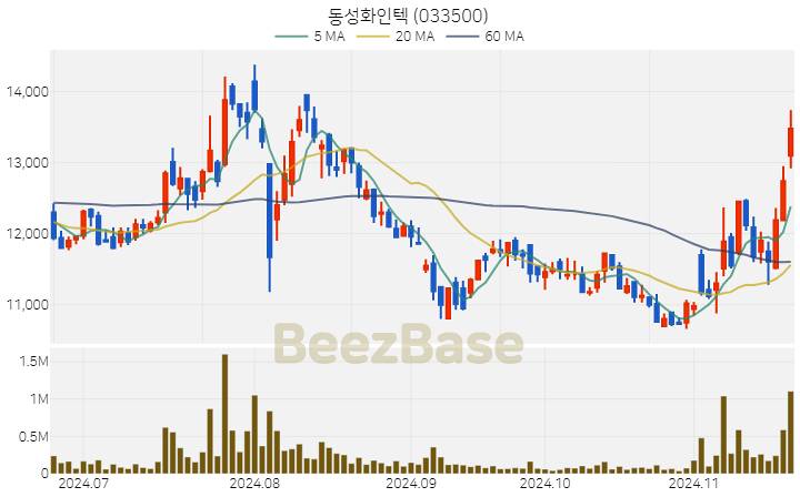 동성화인텍 주가 분석 및 주식 종목 차트 | 2024.11.20