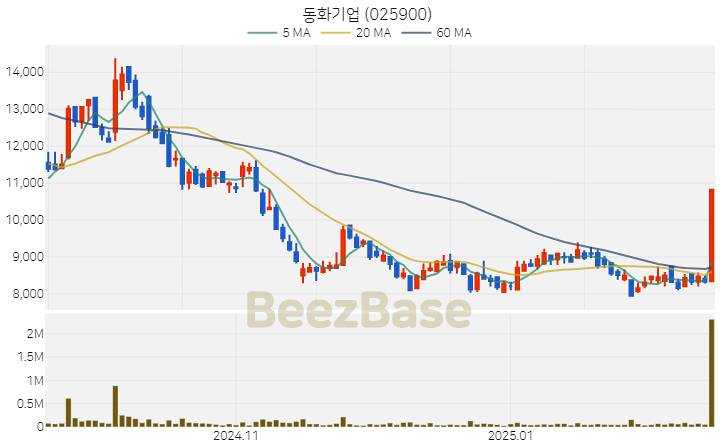 [주가 차트] 동화기업 - 025900 (2025.02.19)