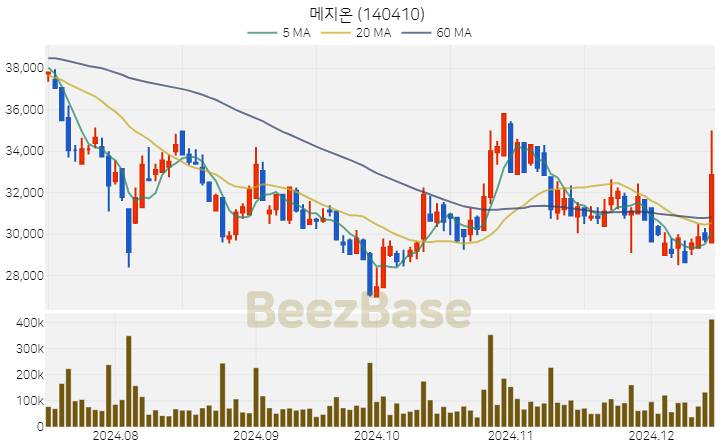 메지온 주가 분석 및 주식 종목 차트 | 2024.12.13