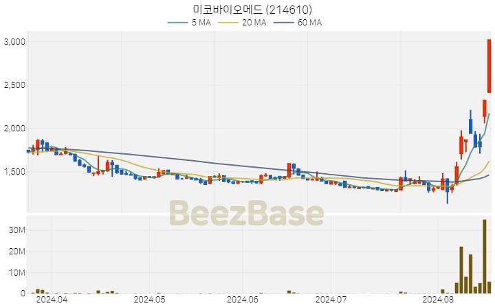 미코바이오메드 주가 분석 및 주식 종목 차트 | 2024.08.19