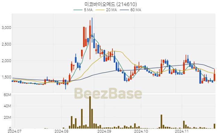 미코바이오메드 주가 분석 및 주식 종목 차트 | 2024.11.25