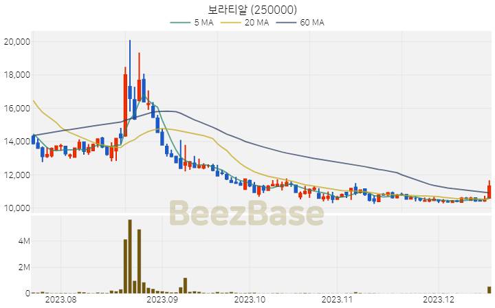 보라티알 주가 분석 및 주식 종목 차트 | 2023.12.18