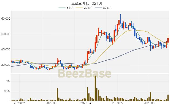 보로노이 주가 분석 및 주식 종목 차트 | 2023.06.20