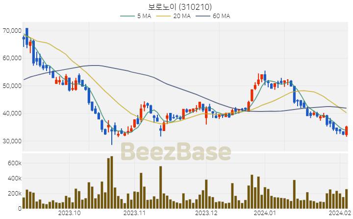 보로노이 주가 분석 및 주식 종목 차트 | 2024.02.06