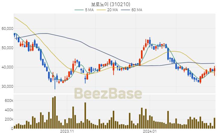 보로노이 주가 분석 및 주식 종목 차트 | 2024.02.19