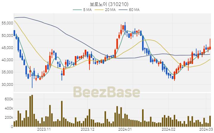 [주가 차트] 보로노이 - 310210 (2024.03.06)