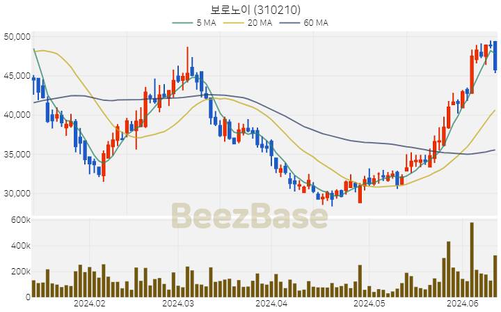 보로노이 주가 분석 및 주식 종목 차트 | 2024.06.13