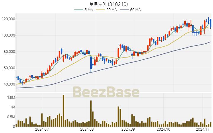 보로노이 주가 분석 및 주식 종목 차트 | 2024.11.07