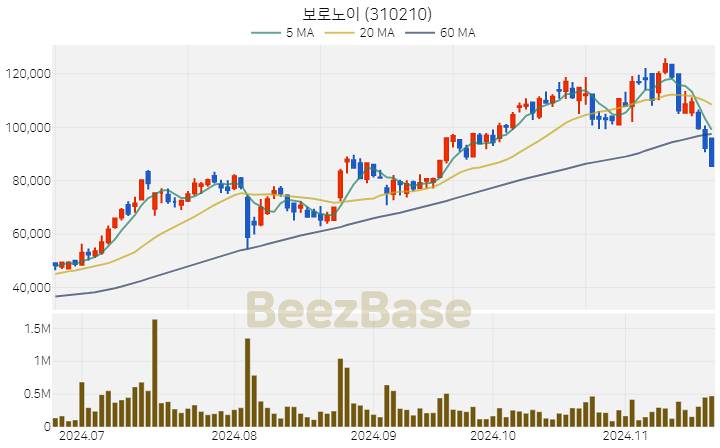 보로노이 주가 분석 및 주식 종목 차트 | 2024.11.20