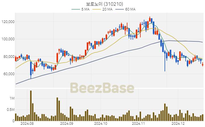 [주가 차트] 보로노이 - 310210 (2024.12.19)