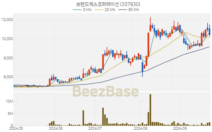 브랜드엑스코퍼레이션 주가 분석 및 주식 종목 차트 | 2024.09.26