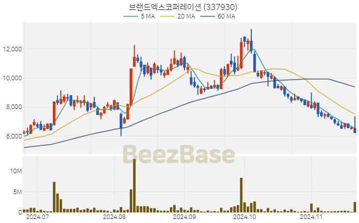 브랜드엑스코퍼레이션 주가 분석 및 주식 종목 차트 | 2024.11.20