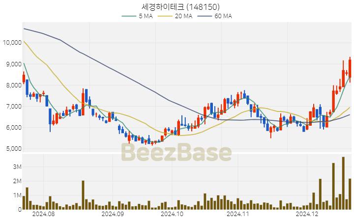 세경하이테크 주가 분석 및 주식 종목 차트 | 2024.12.19