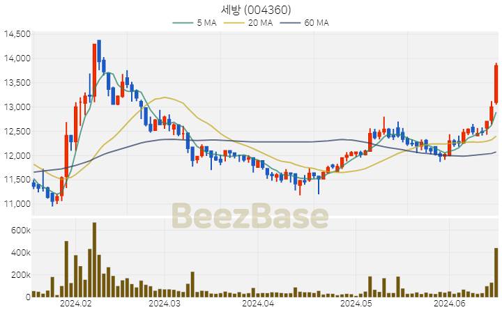 세방 주가 분석 및 주식 종목 차트 | 2024.06.18