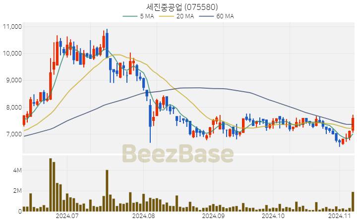 세진중공업 주가 분석 및 주식 종목 차트 | 2024.11.07