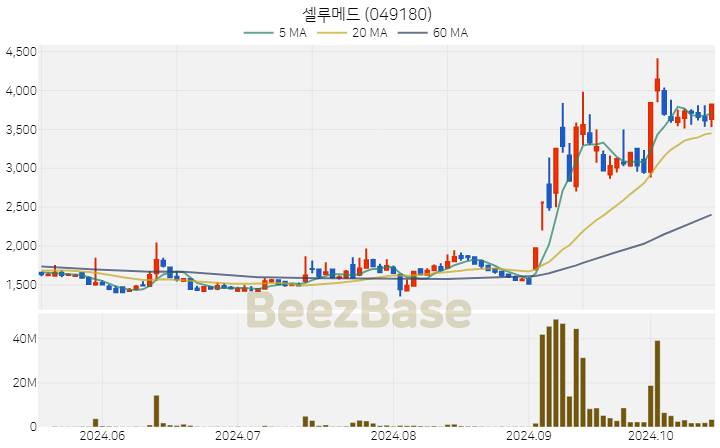 셀루메드 주가 분석 및 주식 종목 차트 | 2024.10.17