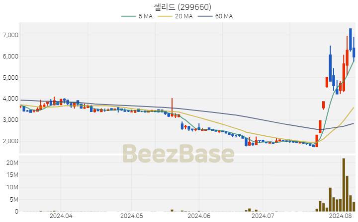 셀리드 주가 분석 및 주식 종목 차트 | 2024.08.07