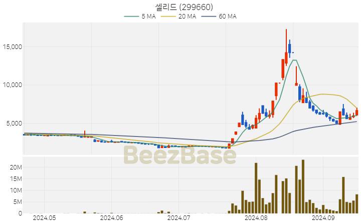 셀리드 주가 분석 및 주식 종목 차트 | 2024.09.19