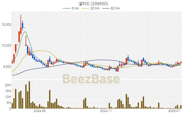 [주가 차트] 셀리드 - 299660 (2025.01.08)