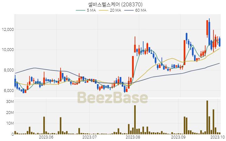 셀바스헬스케어 주가 분석 및 주식 종목 차트 | 2023.10.05