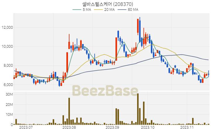 셀바스헬스케어 주가 분석 및 주식 종목 차트 | 2023.11.17