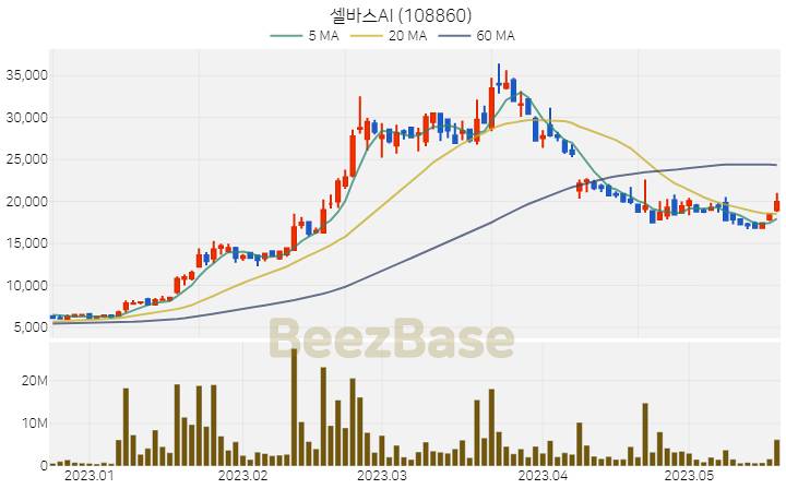 셀바스AI 주가 분석 및 주식 종목 차트 | 2023.05.19