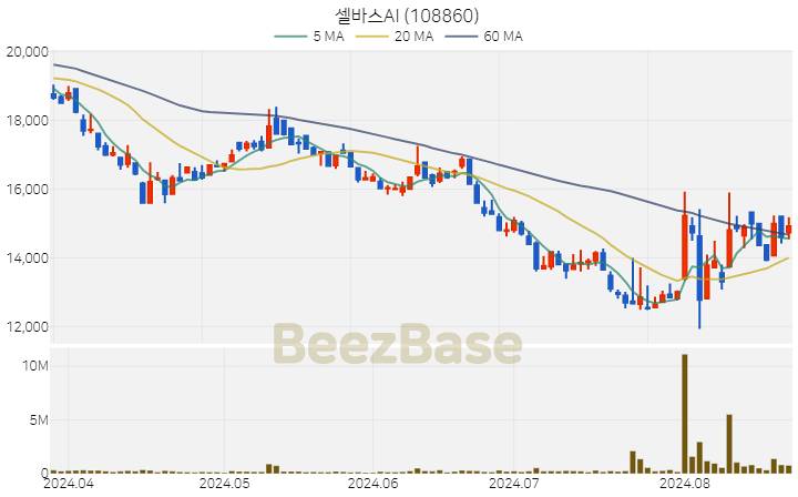 셀바스AI 주가 분석 및 주식 종목 차트 | 2024.08.22