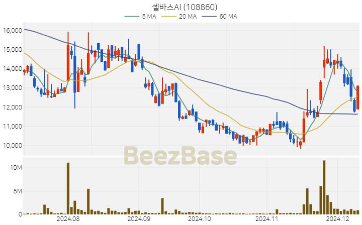 셀바스AI 주가 분석 및 주식 종목 차트 | 2024.12.10