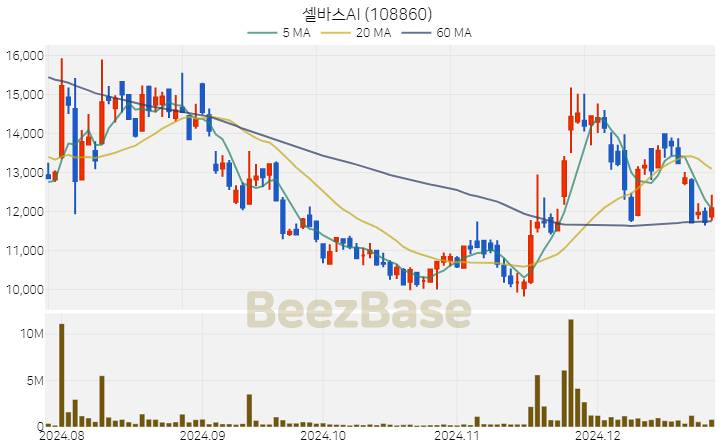 [주가 차트] 셀바스AI - 108860 (2024.12.26)