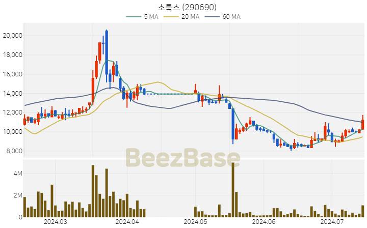 소룩스 주가 분석 및 주식 종목 차트 | 2024.07.15