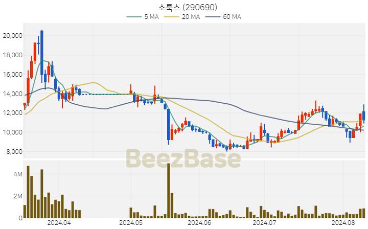 [주가 차트] 소룩스 - 290690 (2024.08.09)