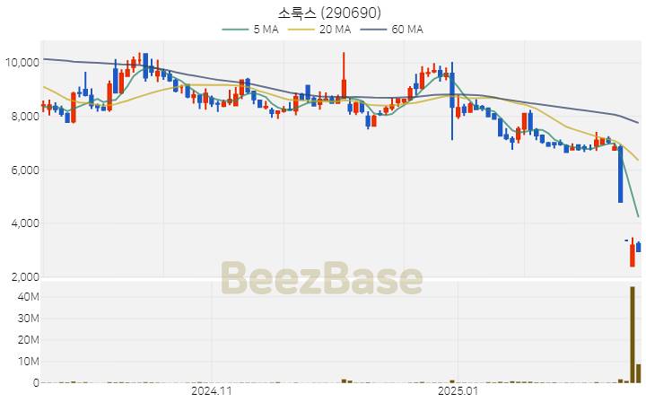[주가 차트] 소룩스 - 290690 (2025.02.19)