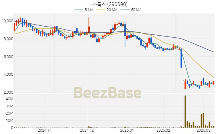 [주가 차트] 소룩스 - 290690 (2025.03.11)