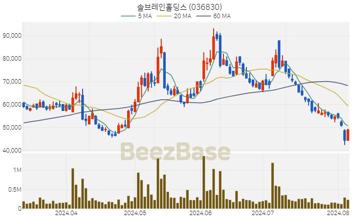 [주가 차트] 솔브레인홀딩스 - 036830 (2024.08.06)