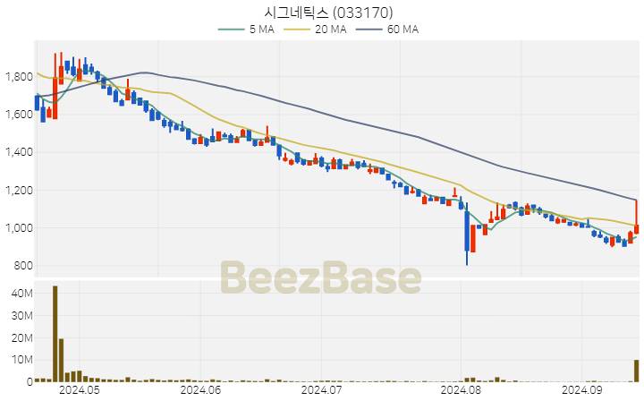 시그네틱스 주가 분석 및 주식 종목 차트 | 2024.09.13