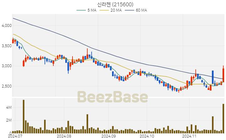 신라젠 주가 분석 및 주식 종목 차트 | 2024.11.25
