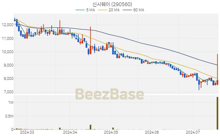 신시웨이 주가 분석 및 주식 종목 차트 | 2024.07.18