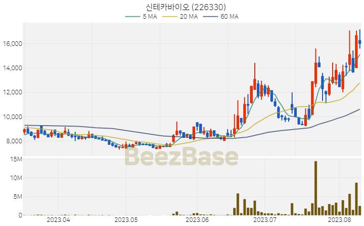 신테카바이오 주가 분석 및 주식 종목 차트 | 2023.08.10