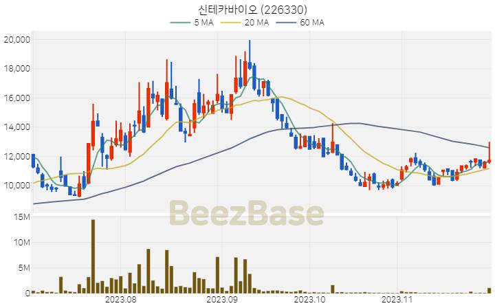 [주가 차트] 신테카바이오 - 226330 (2023.11.29)