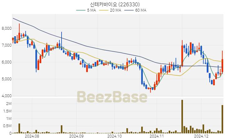 신테카바이오 주가 분석 및 주식 종목 차트 | 2024.12.16