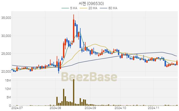 씨젠 주가 분석 및 주식 종목 차트 | 2024.11.21