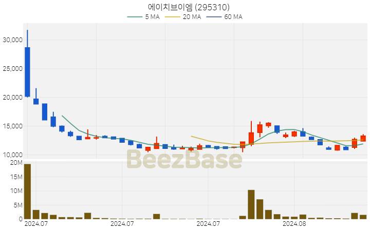 에이치브이엠 주가 분석 및 주식 종목 차트 | 2024.08.23